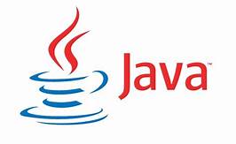 Java the programing language
