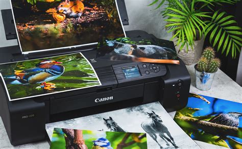 Canon PIXMA Pro-200 czyli profesjonalne drukowanie zdjęć w domu