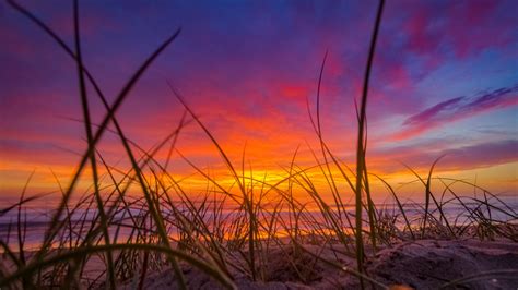 Sunrise At Shoalhaven Heads Beach Nsw Australia 4k Wallpaper