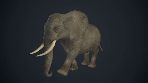 Artstation African Elephant