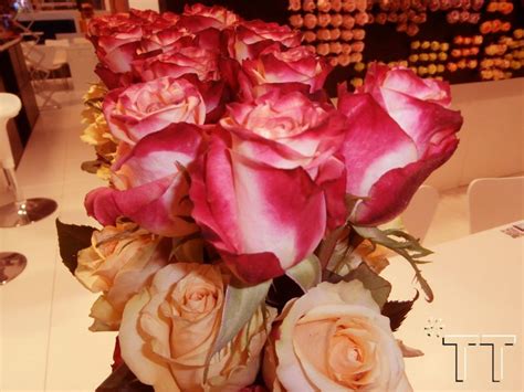 Las Rosas De Ecuador Las Más Hermosas Del Mundo Beautiful Roses