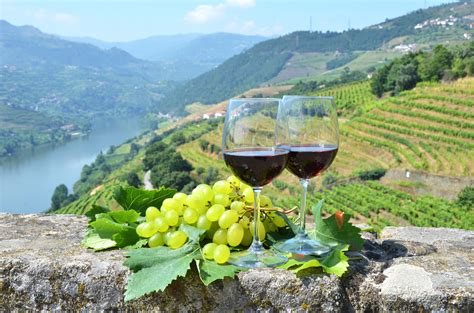 3 day tour of porto douro valley wine region portugal magik