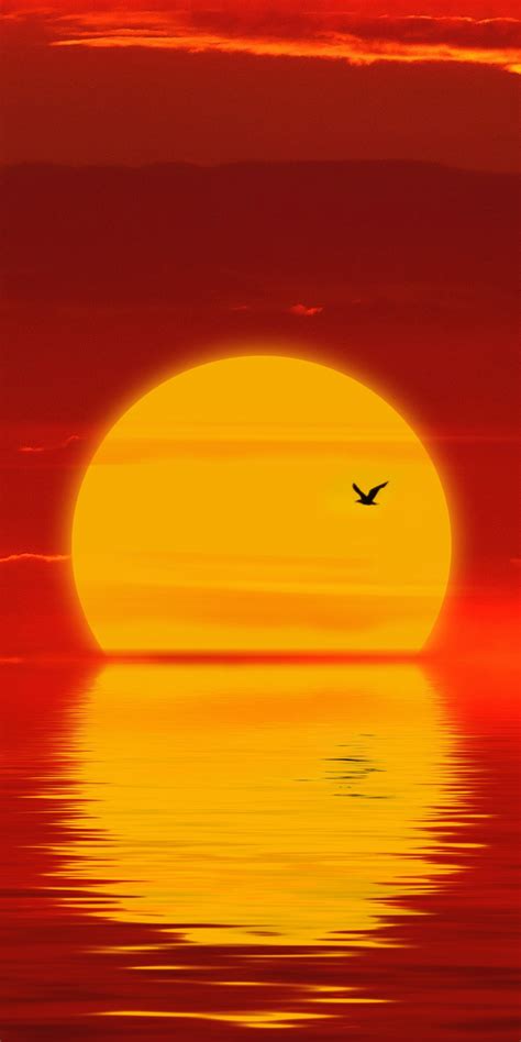 Download Sun Sunset Minimal Silhouette 1080x2160 Wallpaper Honor 7x