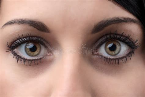 Female Eye Stock Image Image Of Macro Eyebrow Glance 37753123