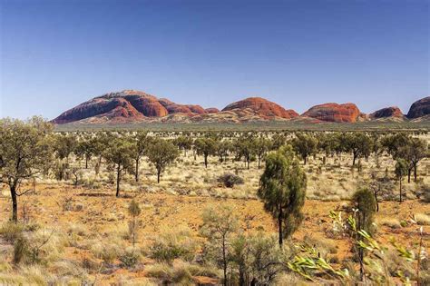 Unlike other primary health networks, we have a rural workforce agency. 10 BEST Places To Visit In The Northern Territory | The ...
