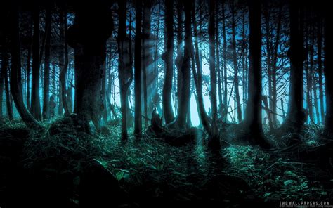 Eerie Forest Wallpaper Flowers Wallpaper Better