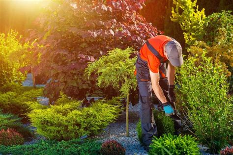 Need To Hire A Landscaper 5 Things To Know Before You Hire · The Wow Decor