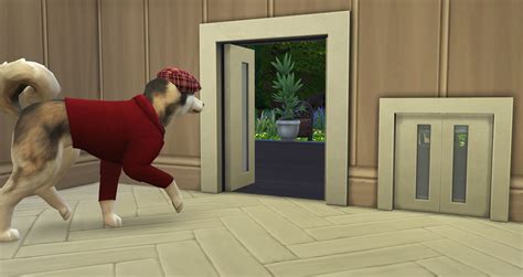 Sims 4 Doggy Door