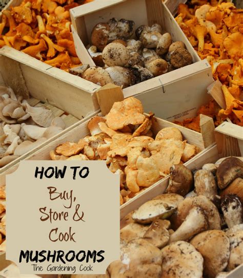 Tips For Cooking With Mushrooms