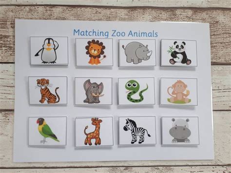 Zoo Animals Matching Game Educational Learning Resource Home Etsy Canada