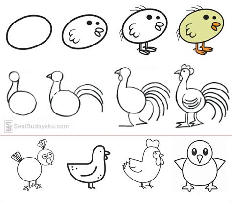 Sketsa Gambar Ayam Belajar Mewarnai Gambar Binatang Ayam Untuk Anak