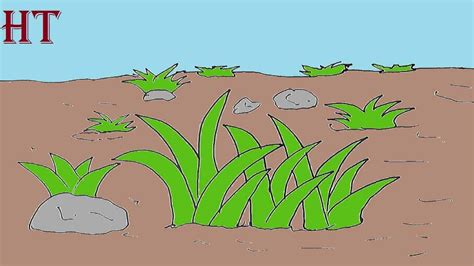 Grass Drawing Step By Step For Beginners Wp