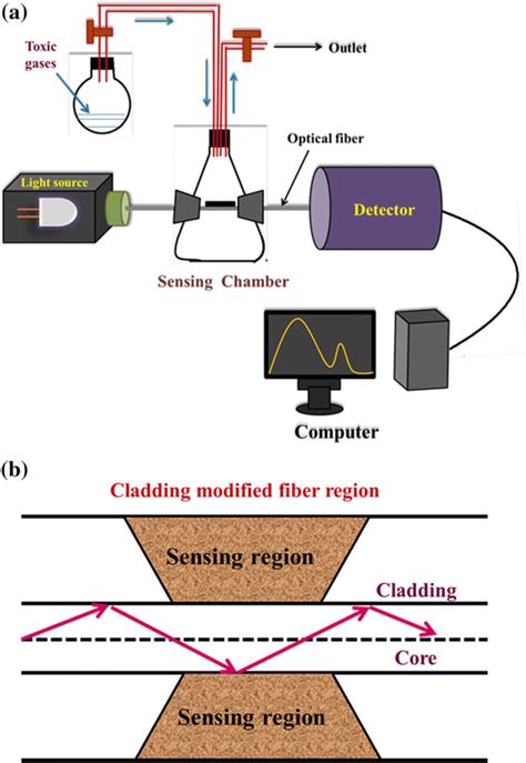 A Schematic Diagram Of A Fiber Optic Gas Sensor And B Schematic