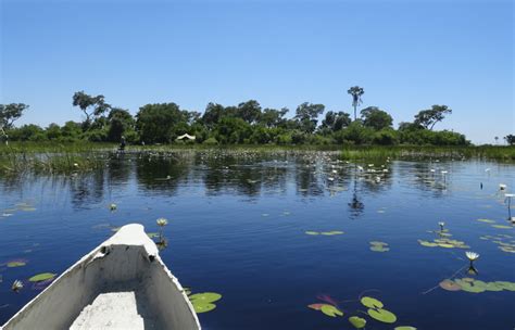 The Okavango Delta My Favourite Place In Botswana Global Pawprints