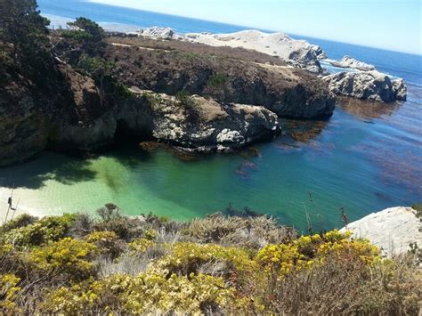 Point Lobos Ca Big Sur California Outdoor