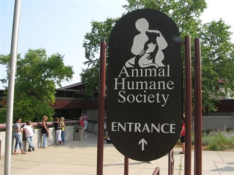 Humane Society offers 2-for-1 cat adoptions | MPR News