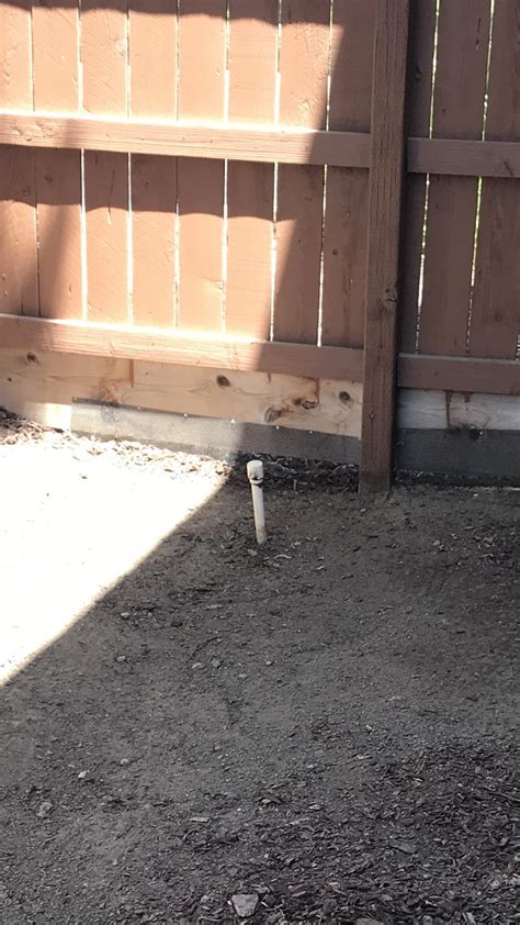 I discovered a hole, roughly 10 inches across, in my yard (at a house i just moved into). What is this white pipe in my backyard? : whatisthisthing