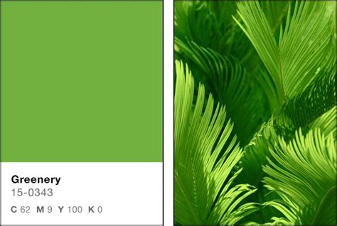 Greenery Colour Of The Year 2017 Atlantic Shopping