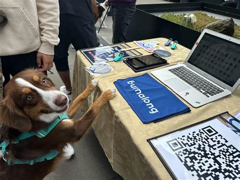 🐾 Paws and Poses: Burnalong Joins Amazon's Dog Days Extravaganza! 🐾