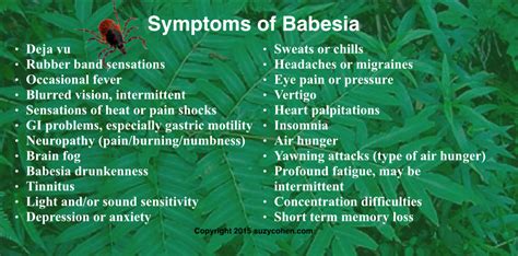 Babesia Symptom Pictures Photos