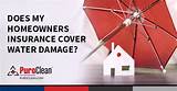 Travelers Homeowners Insurance Policy Images