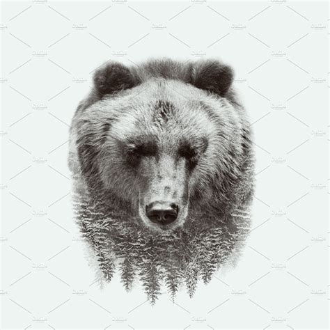 Bear Portrait Double Exposure Animal Stock Photos ~ Creative Market
