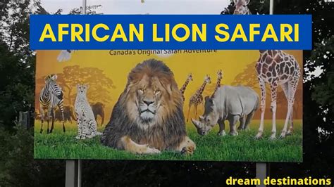 African Lion Safari Youtube