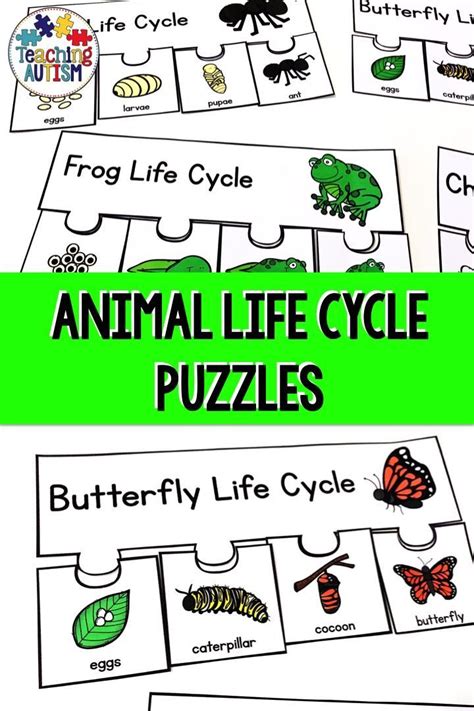Animal Life Cycles Puzzles Animal Life Cycles Life Cycles Activities