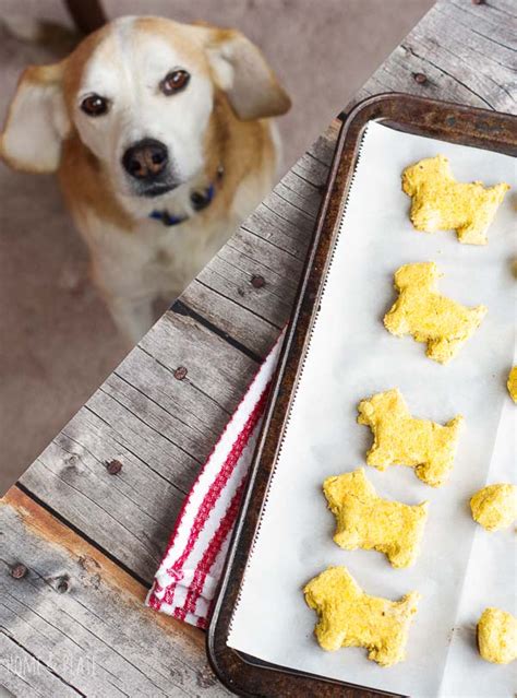 Dog Treat Recipe For Dogs With Allergies Grain Free