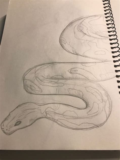 Pin By Arianna Kimmel On Drawing Snake Drawing Art Drawings