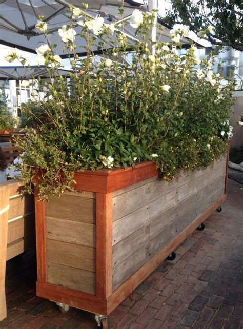 Moveable Large Privacy Planter Perfect For Screening On Balconies Or