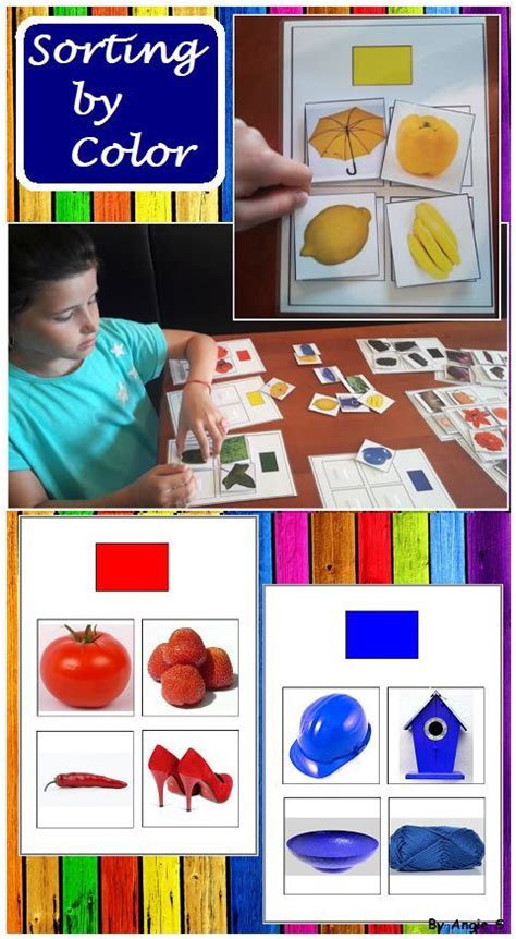 Sorting By Color Color Sorting For Autism And Special Education Set 1