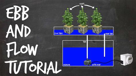 How To Set Up An Ebb And Flow Diy Hydroponics System Flood And Drain