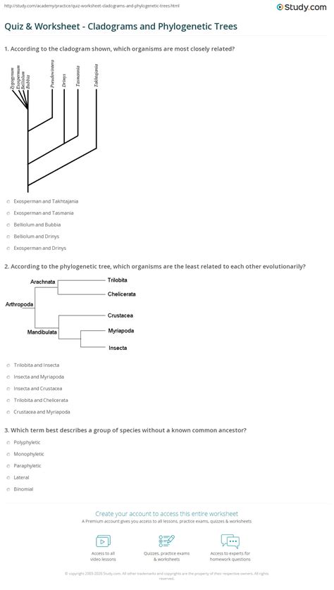 Learn vocabulary, terms, and more with flashcards. Phylogenetic Trees Worksheet Answer Key | Kids Activities