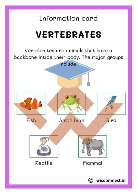 Types Of Animals Worksheet Wisdomnest