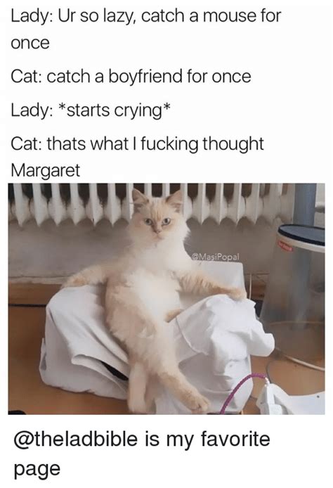 Rmemes Crying Cat Profile Pic Butter Profile Pic Crying Cat Profile Pic
