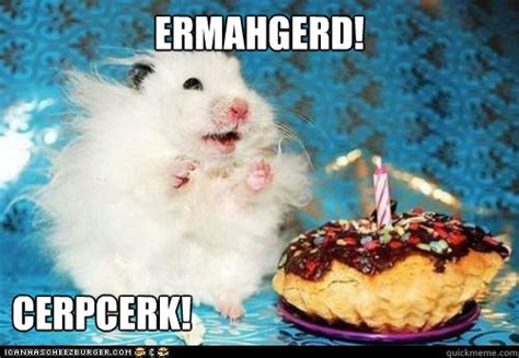 Ermahgerd Birthday Hamster Memes Quickmeme