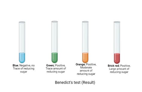 ⛔ Benedicts Test For Carbohydrates Benedicts Test 2022 11 23