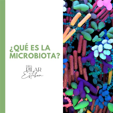 Qué es la microbiota Dra Pilar Esteban