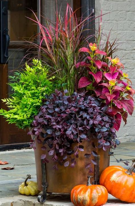 20 Blow Minding Fall Container Backyard Ideas The Art In