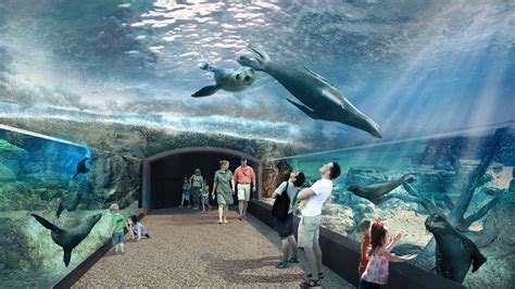 State Of The Art 70 Million Galápagos Islands Exhibit Headed For