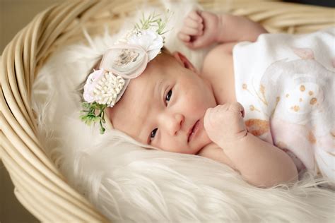 Newborns Picture Perfect Babies