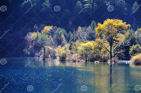 Jiuzhaigou Sparkling Lake Stock Photo Image Of Clear 28251920