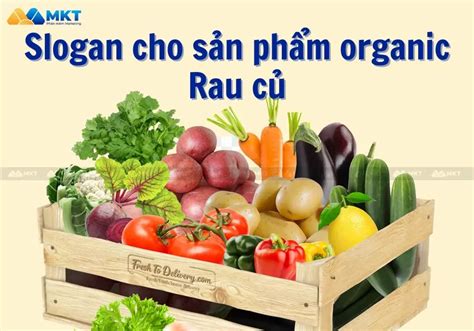 99 Mẫu Slogan Cho Sản Phẩm Organic Cực Ấn Tượng