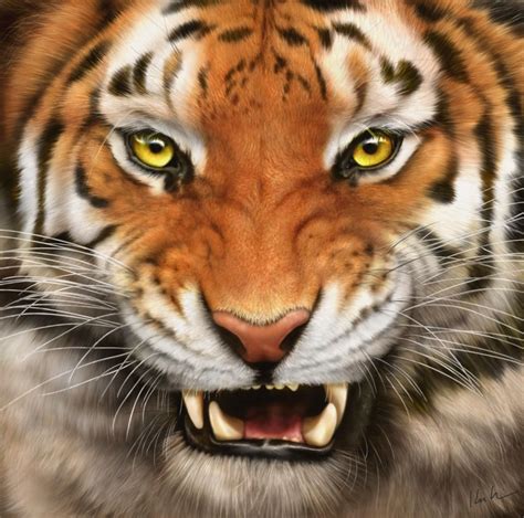 If you're looking for the best tiger wallpaper then wallpapertag is the place to be. Tiger Wallpapers HD Download