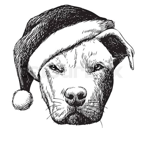 Freehand Sketch Illustration Of Pitbull Dog With Christmas Santa Hat