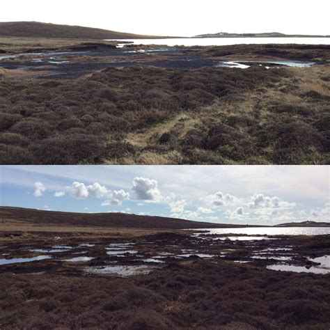 Peatland Restoration At Sandy Loch Shetland Amenity Trust
