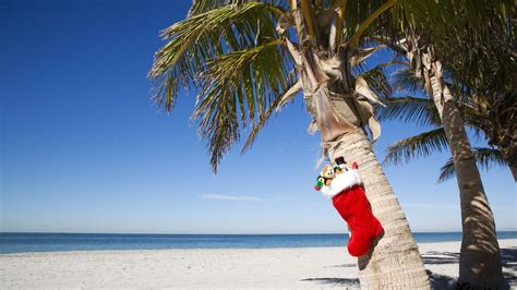 Where can i find beach pictures for christmas? Download Beach Christmas Wallpaper Gallery