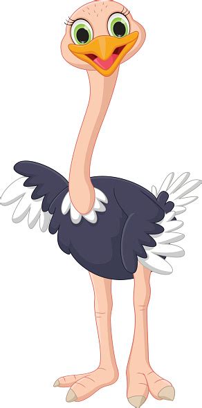 Cute Ostrich Cartoon Stock Illustration Download Image Now Istock