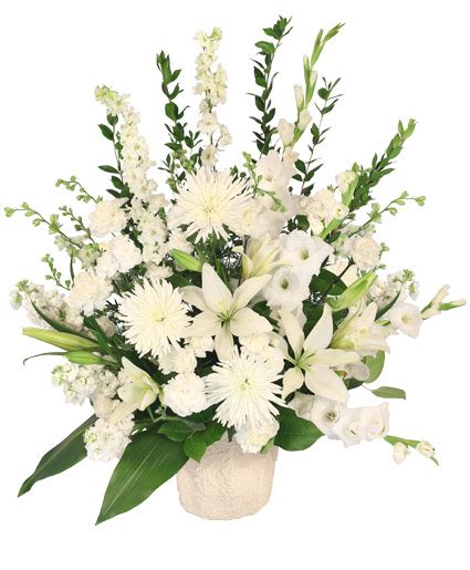 We did not find results for: Graceful Devotion Funeral Flowers | | Flower Shop Network